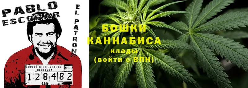 Конопля THC 21%  дарк нет формула  Чусовой  даркнет сайт 